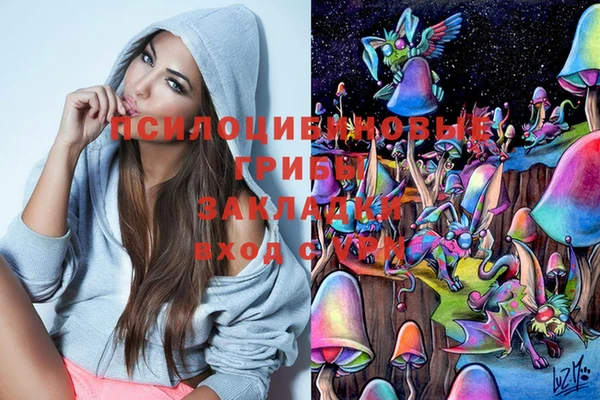 сатива Балахна