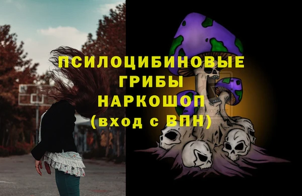 молекула духа Балабаново