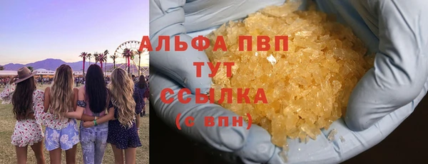 сатива Балахна